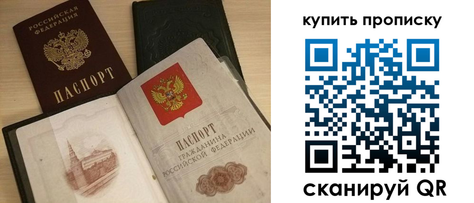 прописка гарантия в Мурино